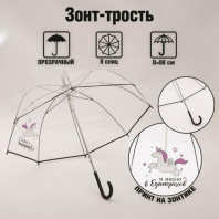 Зонт-купол 8 спиц, d = 88 см, прозрачный Зонт-купол 8 спиц, d = 88 см, прозрачный Калининград
